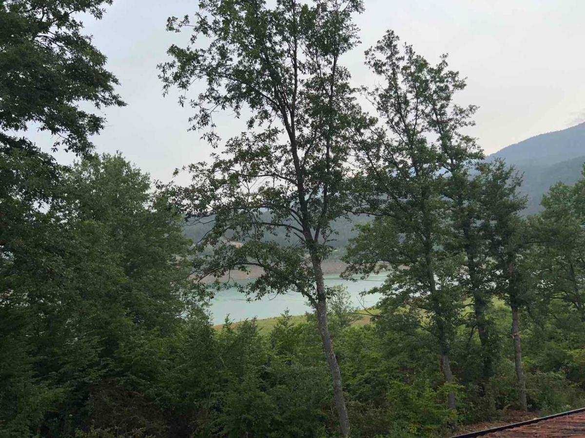 Zavojsko Jezero - Vila Jezero Pirot Exterior photo